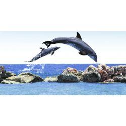 ODH Ocean Dolphin HL