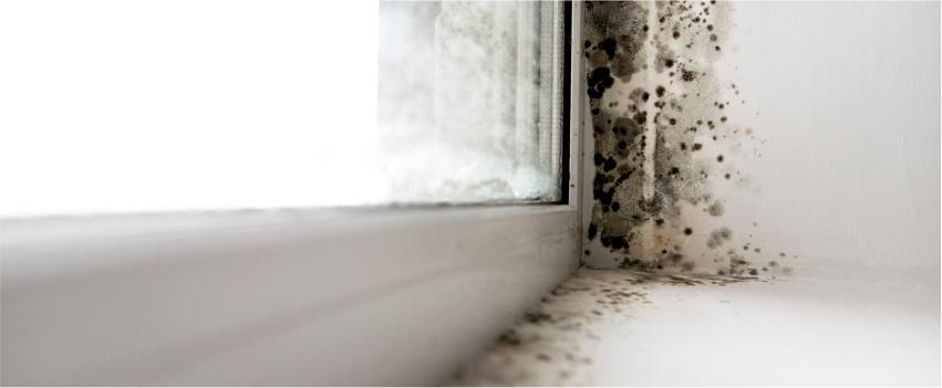 5 Main Causes Of Dampness On Your Bathroom Walls - How To Remove Damp From Bathroom Floor
